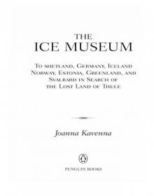 The Ice Museum Read online