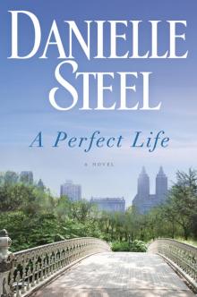 A Perfect Life: A Novel Read online