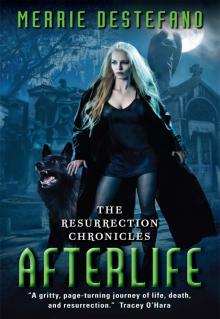 Afterlife: The Resurrection Chronicles Read online