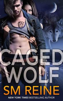 Caged Wolf (Tarot Witches Book 1) Read online