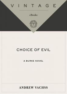 Choice of Evil Read online