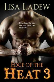 Edge of the Heat 3 Read online