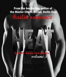 Heat Vol. 5 (Heat: Master Chefs #5) Read online