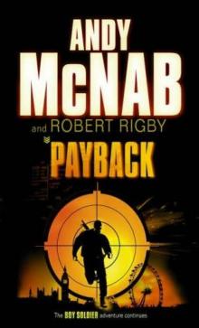 Payback bs-2 Read online