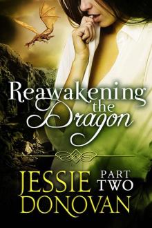 Reawakening the Dragon: Part Two Read online