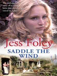 Saddle the Wind Read online