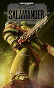 Salamander (warhammer 40000) Read online
