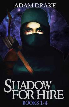 Shadow For Hire: Books 1-4 (A LitRPG Series) Read online