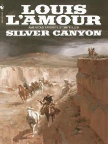 Silver Canyon Read online