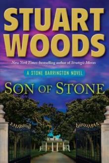 Son of Stone sb-21 Read online