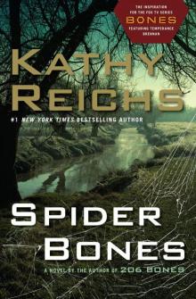 Spider Bones: A Novel Read online