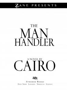 The Man Handler Read online