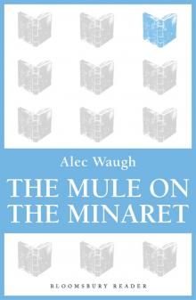 The Mule on the Minaret Read online