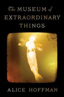 The Museum of Extraordinary Things Read online