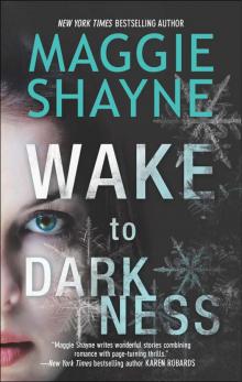 Wake to Darkness Read online