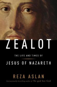 Zealot: The Life and Times of Jesus of Nazareth Read online