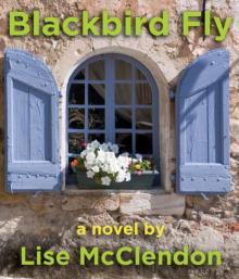 Blackbird Fly Read online