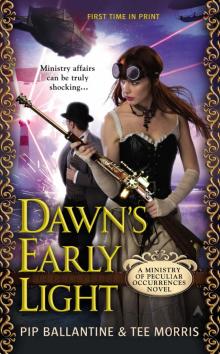 Dawn's Early Light Read online