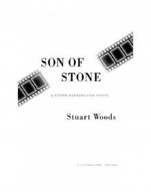 Son of Stone Read online