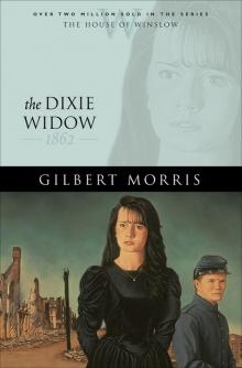 The Dixie Widow Read online
