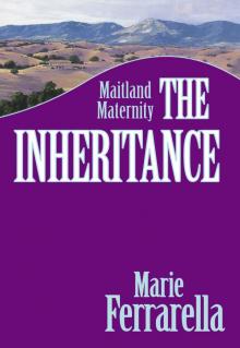 The Inheritance Read online