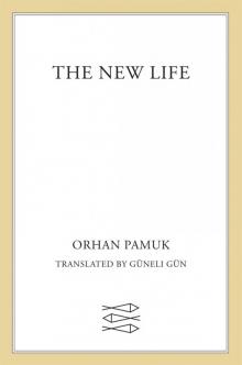 The New Life Read online