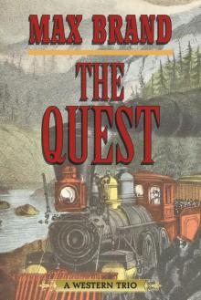 The Quest Read online