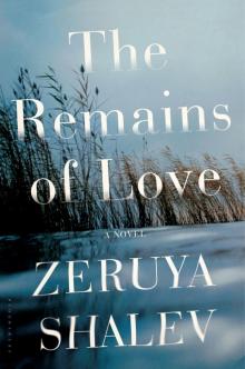 The Remains of Love Read online