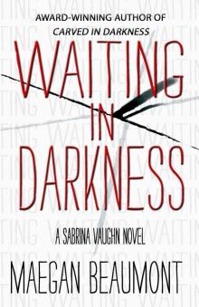Waiting In Darkness: A Sabrina Vaughn Thriller (The Sabrina Vaughn Series Book 1) Read online