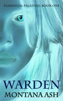 Warden (Elemental Paladins Book 1) Read online