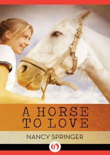 A Horse to Love Read online