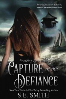 Capture of the Defiance: Romantic Suspense (Breaking Free Book 2) Read online