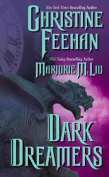 Dark Dream (Dark Series - book 7) Read online