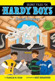 Fossil Frenzy Read online