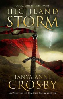 Highland Storm Read online