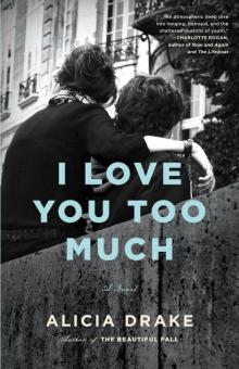 I Love You Too Much Read online