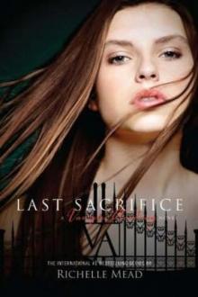 Last Sacrifice va-6 Read online