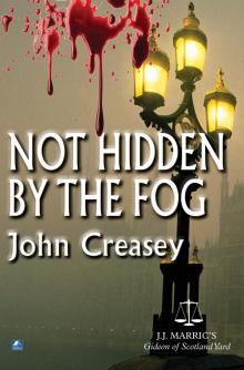 Not Hidden by the Fog Read online