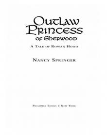 Outlaw Princess of Sherwood Read online