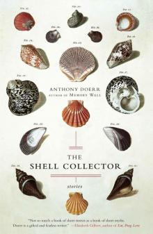 Shell Collector Read online