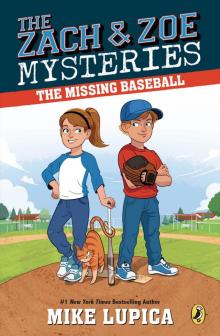 The Missing Baseball Read online