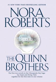 The Quinn Brothers Read online