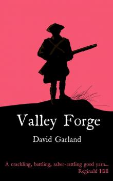 Valley Forge Read online