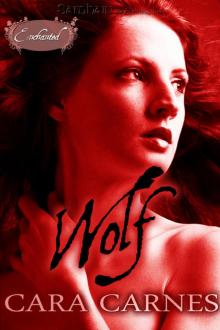 Wolf: An Enchanted Story Read online