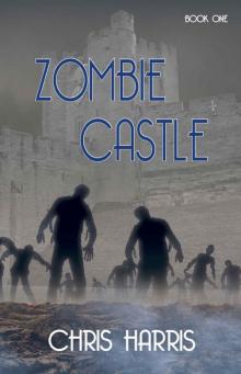 Zombie Castle (Book 1) Read online
