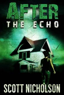 After: The Echo (AFTER post-apocalyptic series, Book 2) Read online