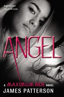 Angel: A Maximum Ride Novel Read online