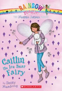 Caitlin the Ice Bear Fairy Read online