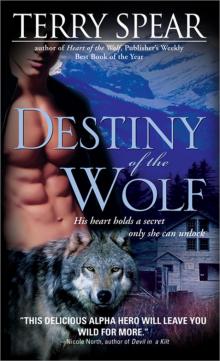 Destiny of the Wolf hotw-2 Read online