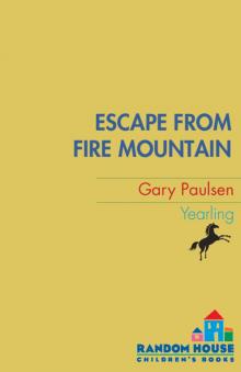 Escape from Fire Mountain Read online